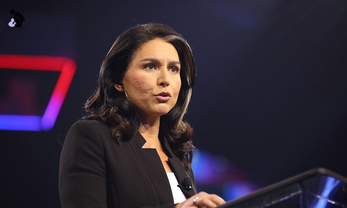 Tulsi Gabbard Net Worth